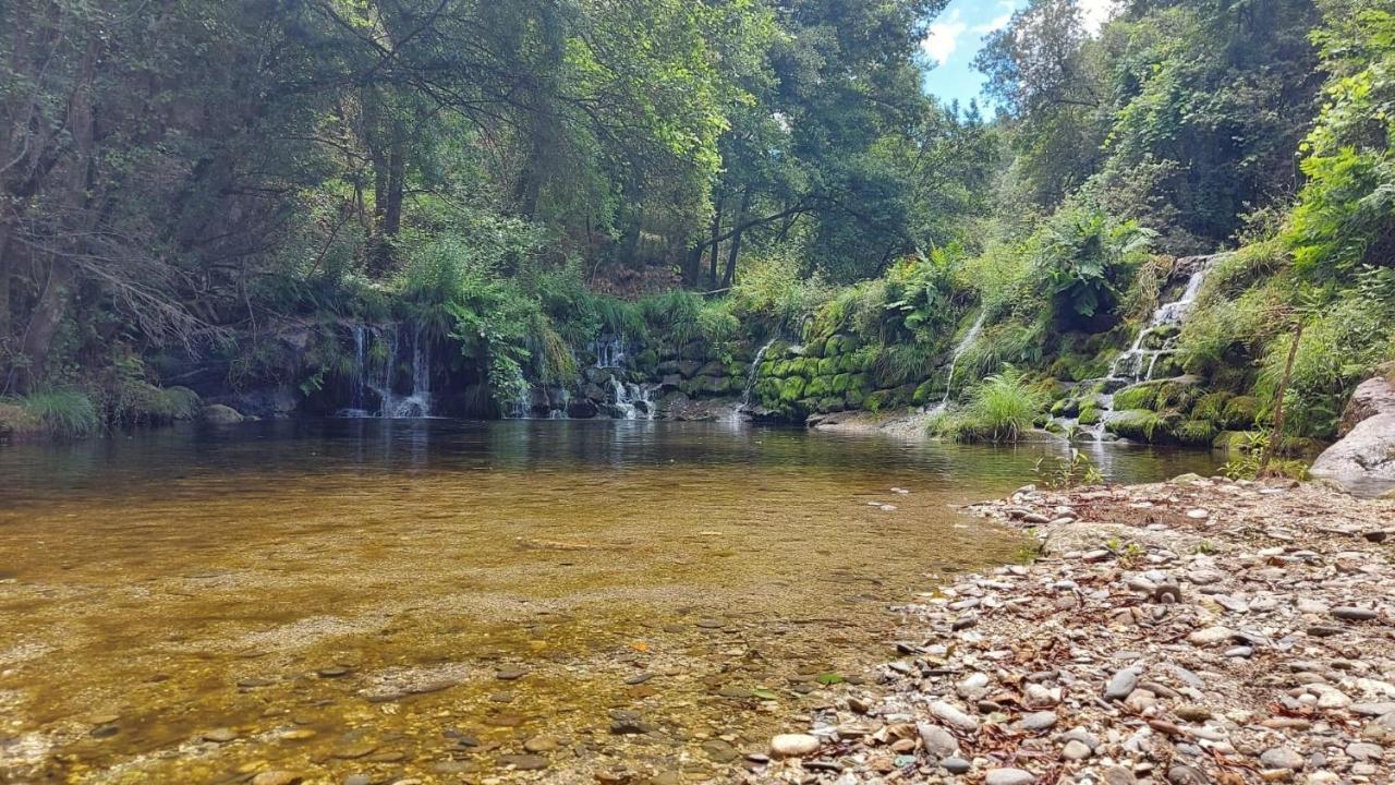 Sitio Dos Cogumelos Alojamentos Amarante Buitenkant foto